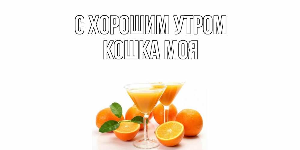 Открытка на каждый день с именем, Кошка-моя С хорошим утром апельсин Прикольная открытка с пожеланием онлайн скачать бесплатно 