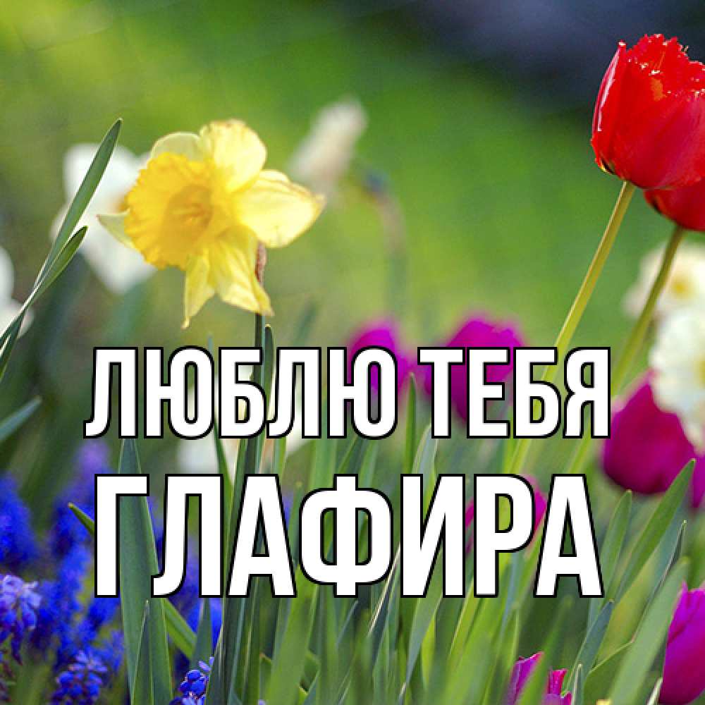 Открытка на каждый день с именем, Глафира Люблю тебя международный женский день 3 Прикольная открытка с пожеланием онлайн скачать бесплатно 