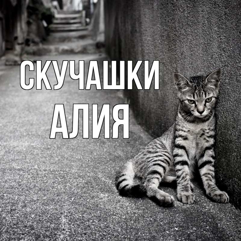 Картинка Скучашки, Алия