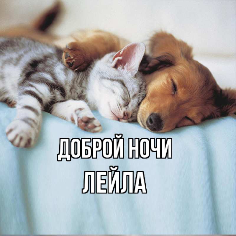 Картинка Доброй ночи, Лейла