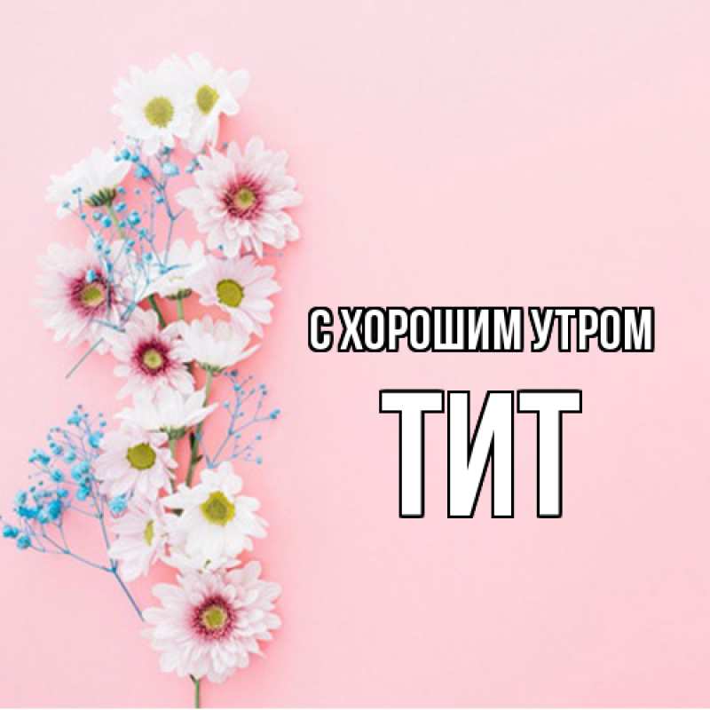 Картинка С хорошим утром, Тит