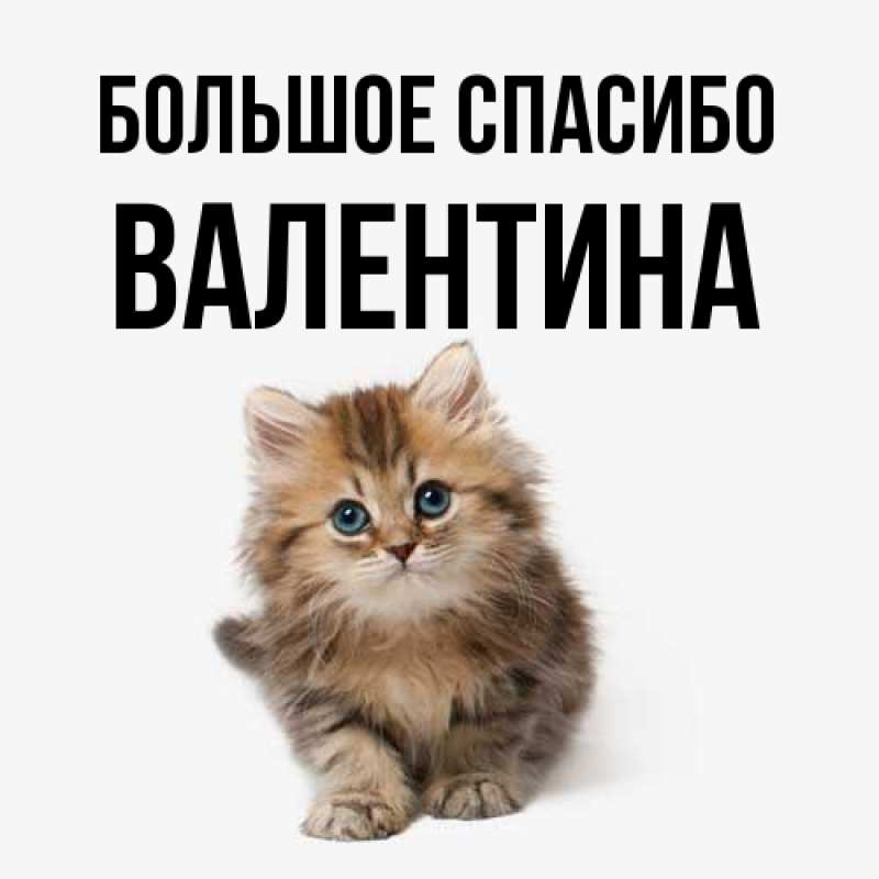 Открытка с именем, Валентина, Большое спасибо