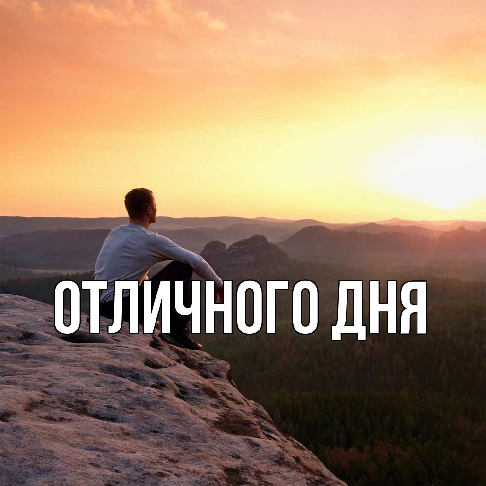 Открытка на каждый день с именем, Аида Скучашки открытка про скучашки 1 Прикольная открытка с пожеланием онлайн скачать бесплатно 
