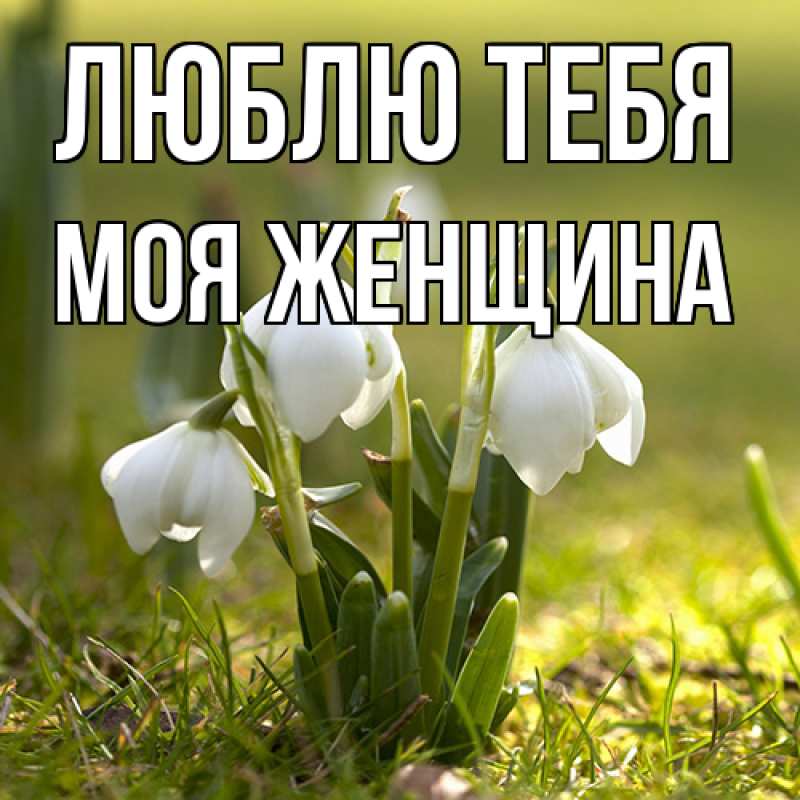 Картинка Люблю тебя, Моя женщина
