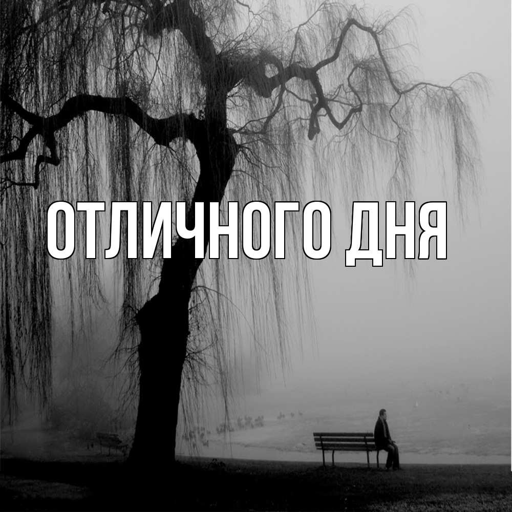 Открытка на каждый день с именем, Аида Скучашки лавочка под деревом я жду тебя Прикольная открытка с пожеланием онлайн скачать бесплатно 