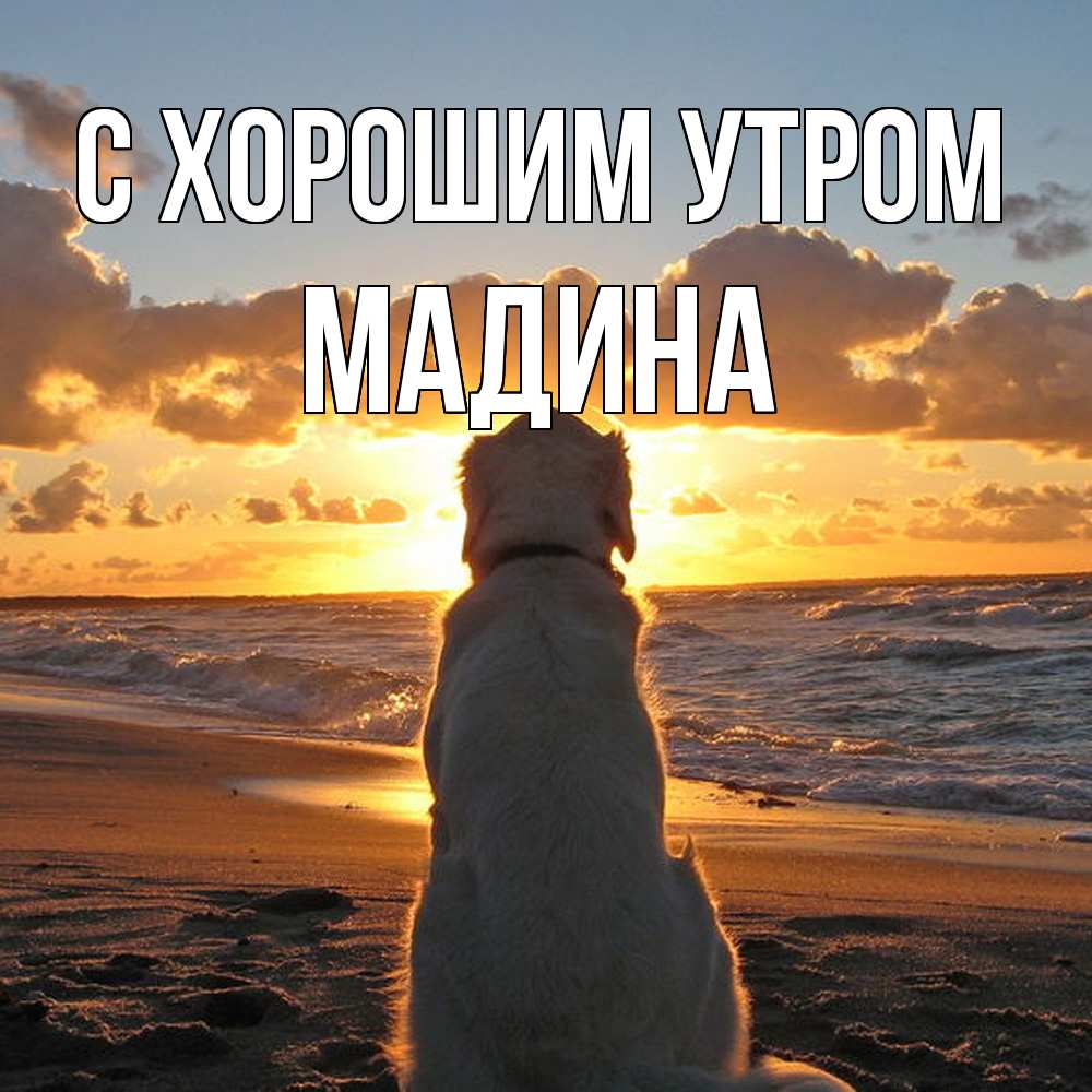 Открытка на каждый день с именем, Мадина С хорошим утром восход солнца Прикольная открытка с пожеланием онлайн скачать бесплатно 