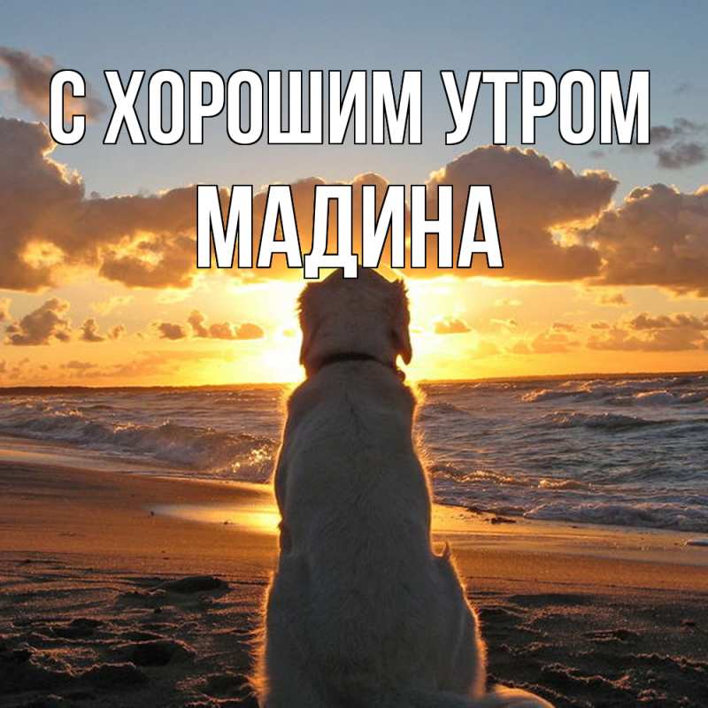 Картинка С хорошим утром, Мадина