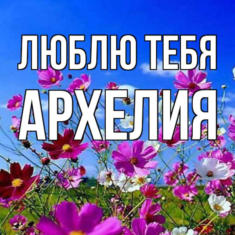 Картинка Люблю тебя, Архелия