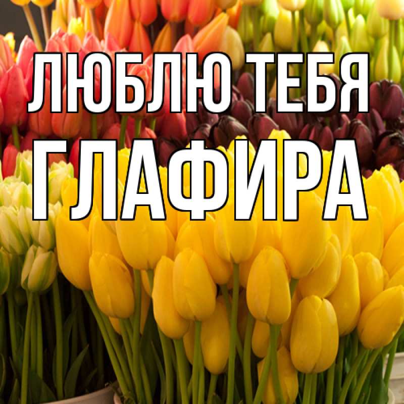 Картинка Люблю тебя, Глафира