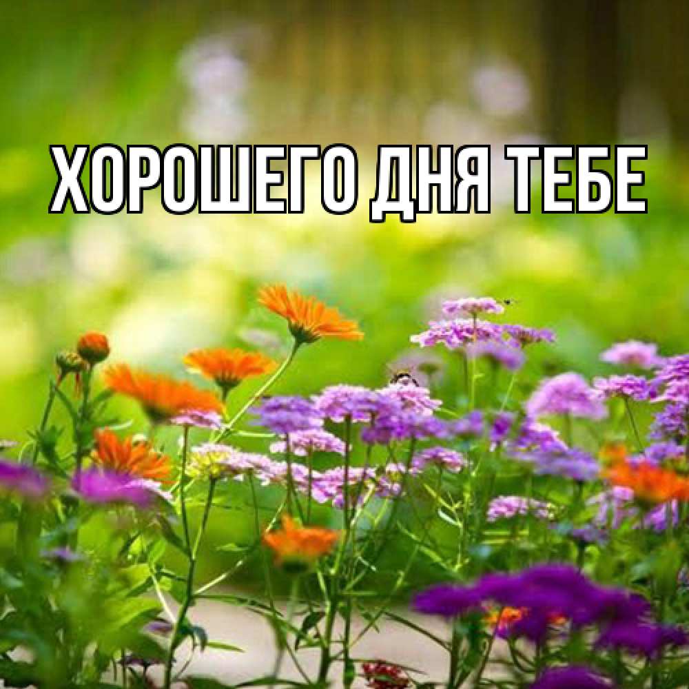 Открытка на каждый день с именем, Родной Люблю тебя цветы Прикольная открытка с пожеланием онлайн скачать бесплатно 
