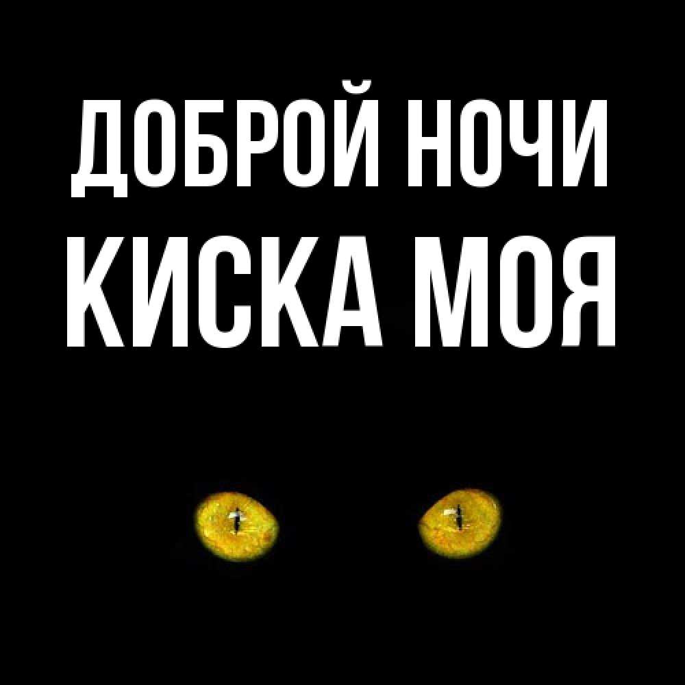 Открытка на каждый день с именем, Киска-моя Доброй ночи сладких снов бесстрашный мой дружочек Прикольная открытка с пожеланием онлайн скачать бесплатно 