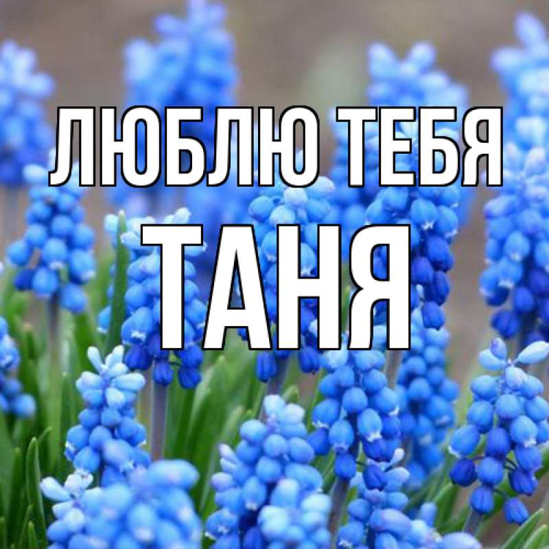 Картинка Люблю тебя, Таня