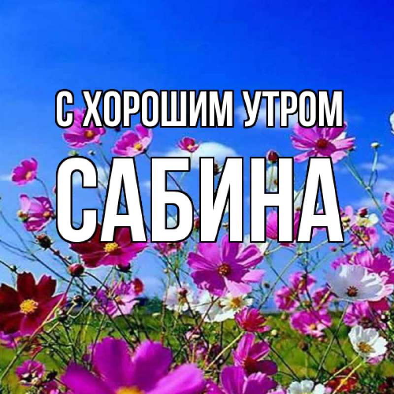 Картинка С хорошим утром, Сабина
