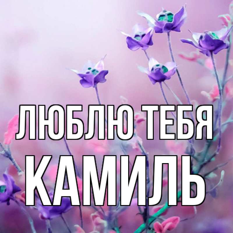 Открытка с именем, Камиль, Люблю тебя
