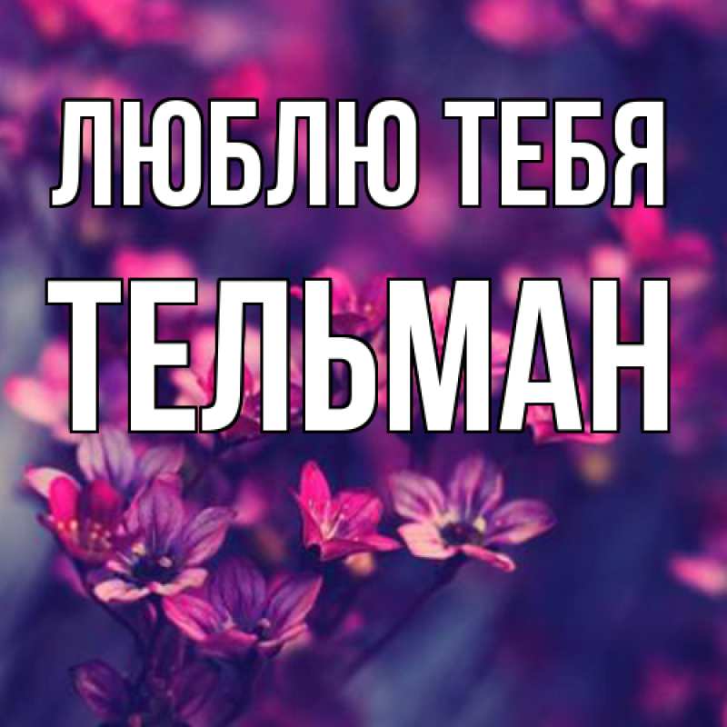 Картинка Люблю тебя, Тельман