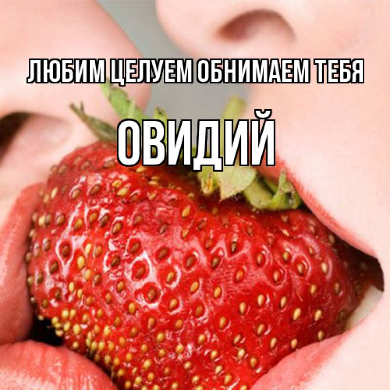 Картинка Любим целуем обнимаем тебя, Овидий