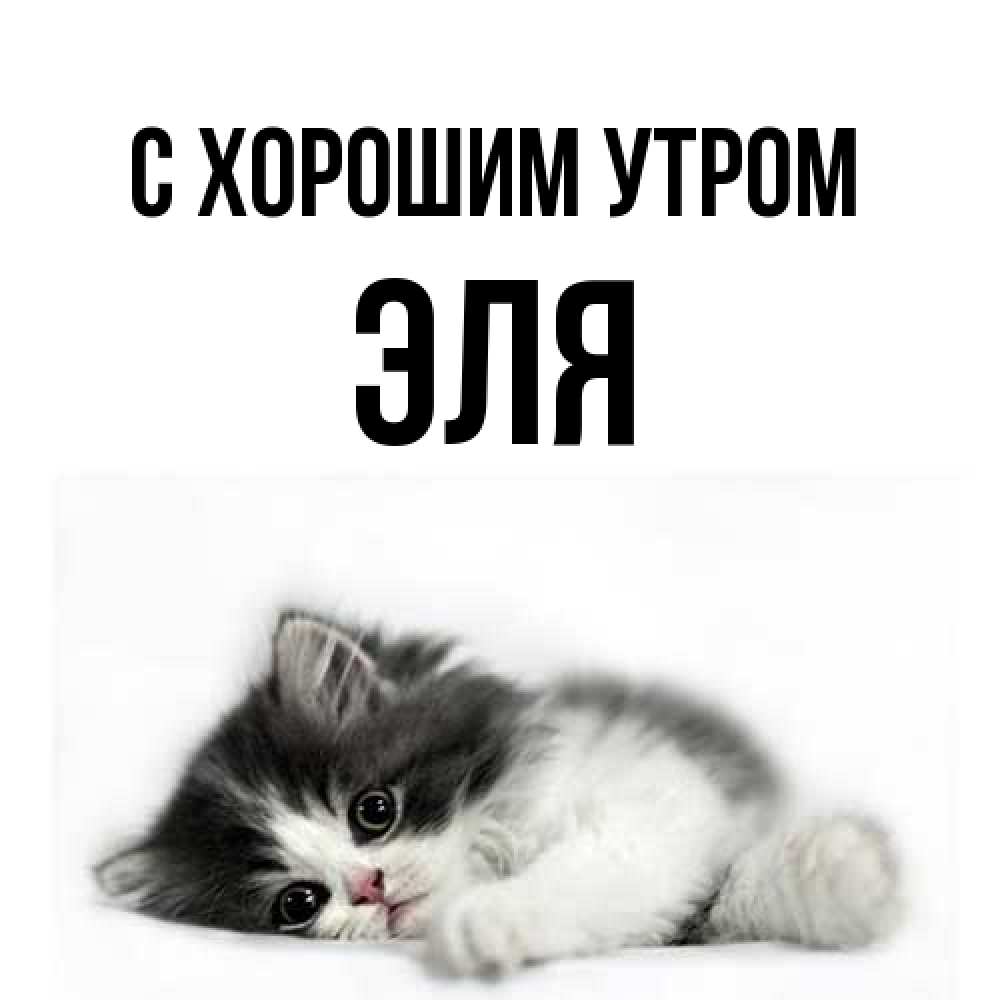 Открытка на каждый день с именем, Эля С хорошим утром кот лапки Прикольная открытка с пожеланием онлайн скачать бесплатно 