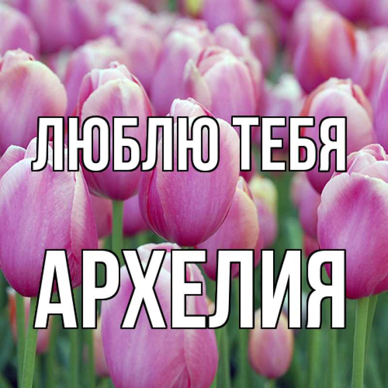 Картинка Люблю тебя, Архелия