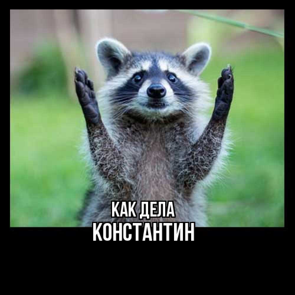 Открытка на каждый день с именем, Константин Как дела животные Прикольная открытка с пожеланием онлайн скачать бесплатно 
