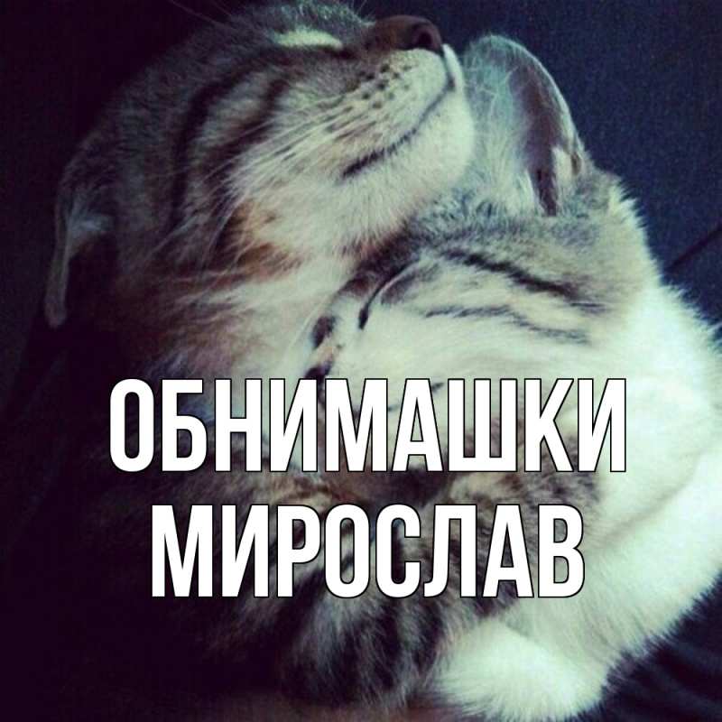 Открытка с именем, Мирослав, Обнимашки
