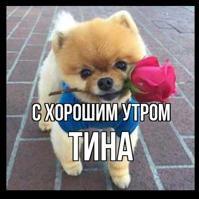Открытка с именем, Тина, С хорошим утром