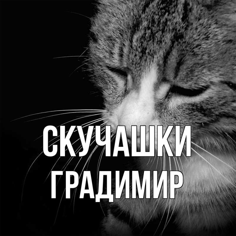 Картинка Скучашки, Градимир