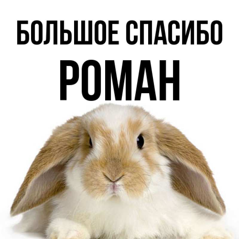 Открытка с именем, Роман, Большое спасибо