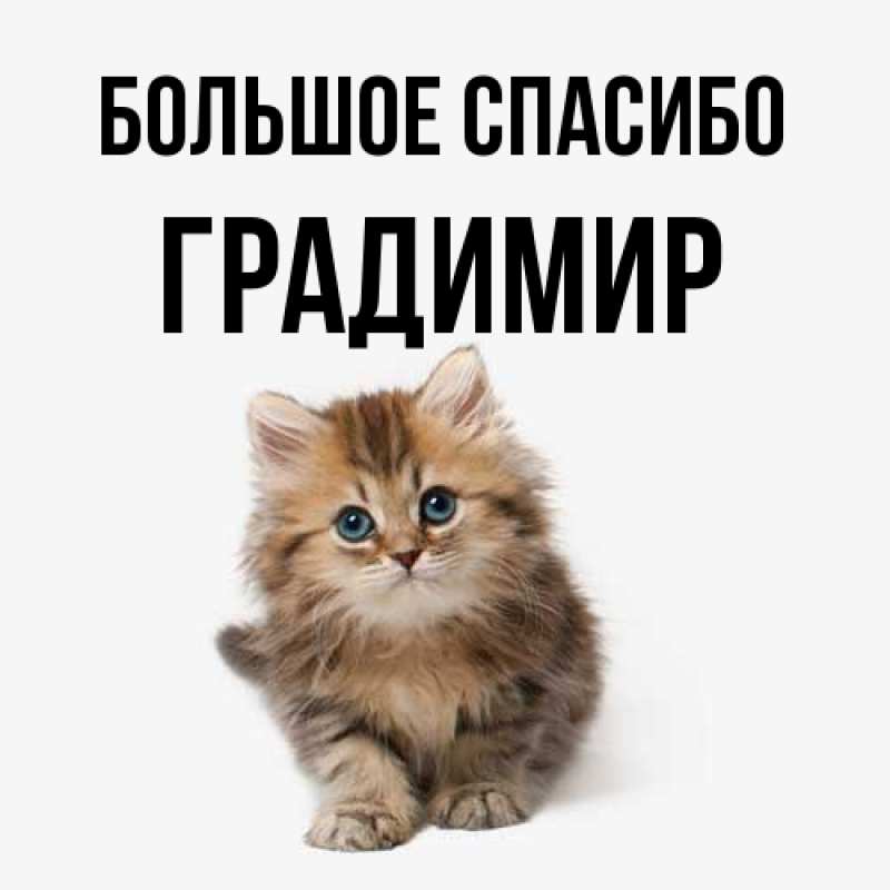 Картинка Большое спасибо, Градимир