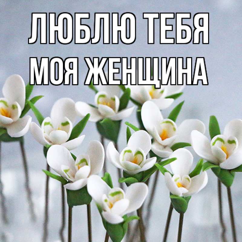 Картинка Люблю тебя, Моя женщина