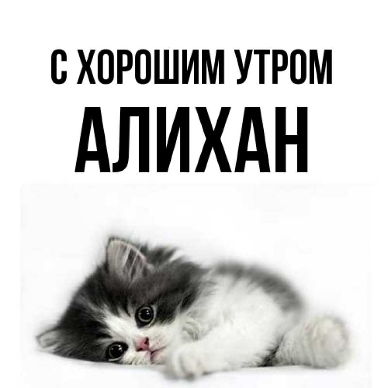 Картинка С хорошим утром, Алихан