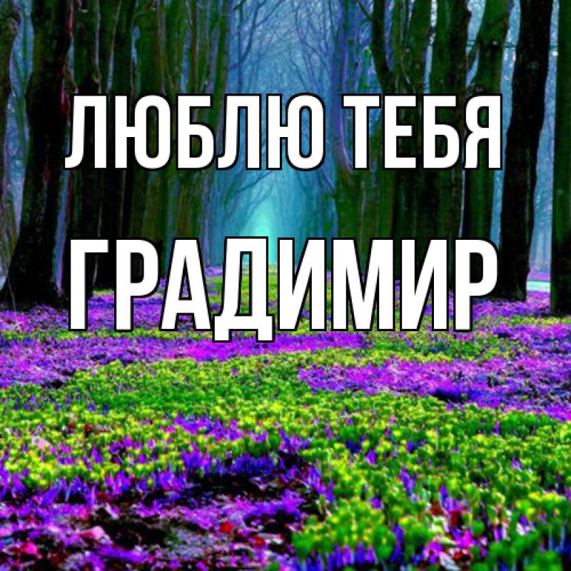 Картинка Люблю тебя, Градимир