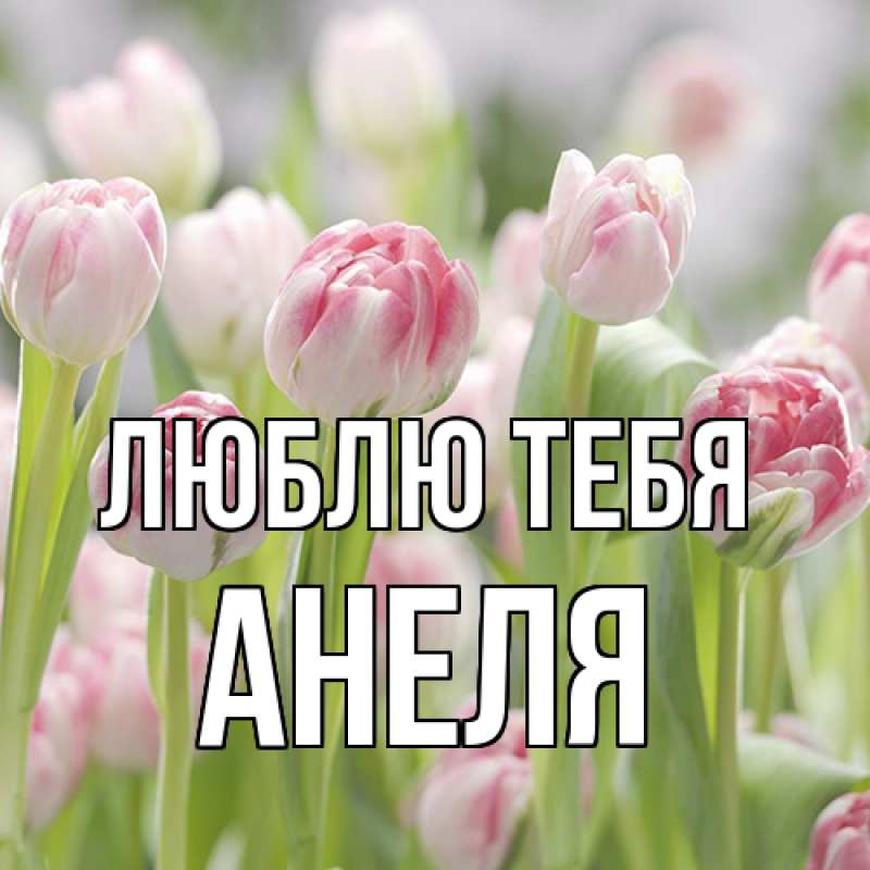 Картинка Люблю тебя, Анеля