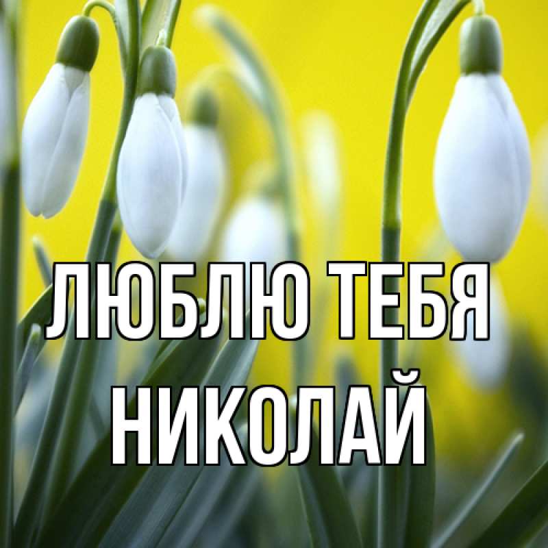 Картинка Люблю тебя, Николай