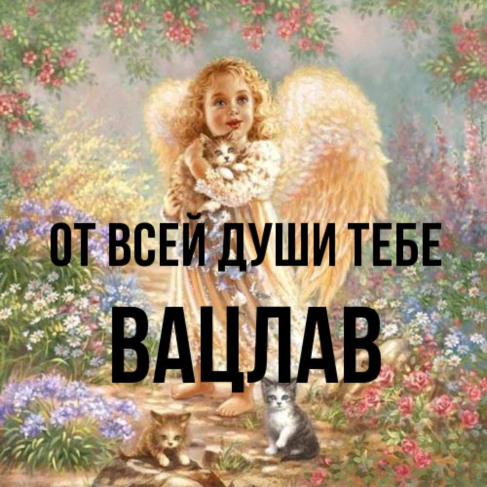 Открытка на каждый день с именем, Вацлав От всей души тебе держит котенка Прикольная открытка с пожеланием онлайн скачать бесплатно 