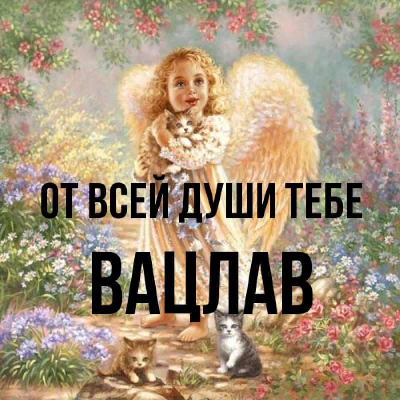 Картинка От всей души тебе, Вацлав