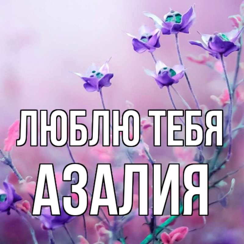 Открытка с именем, Азалия, Люблю тебя