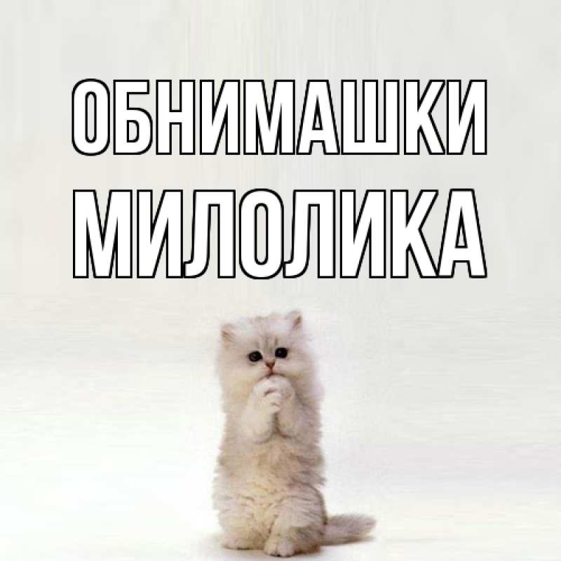 Картинка Обнимашки, Милолика