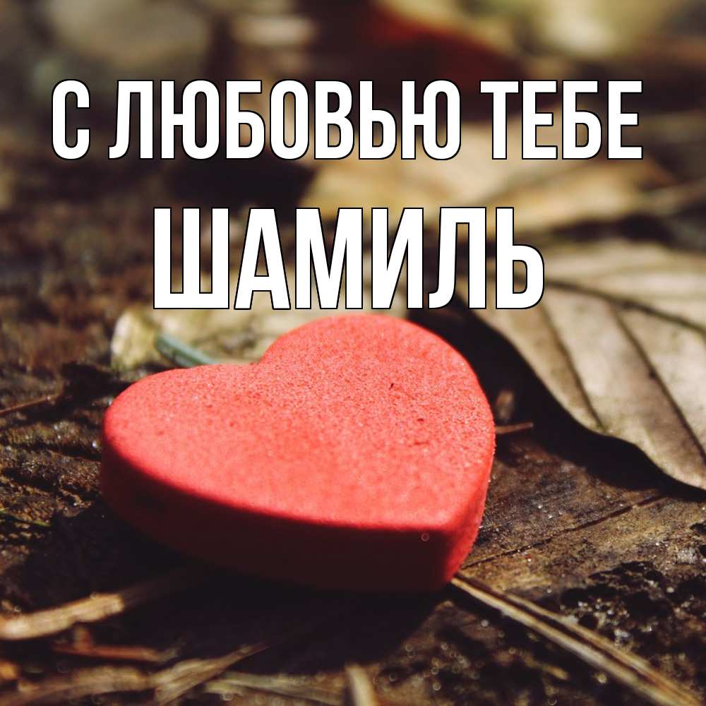 Открытка на каждый день с именем, Шамиль С любовью тебе листья деревье 4 Прикольная открытка с пожеланием онлайн скачать бесплатно 