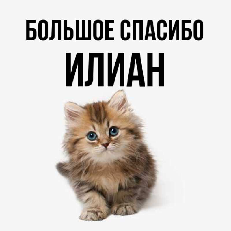 Картинка Большое спасибо, Илиан