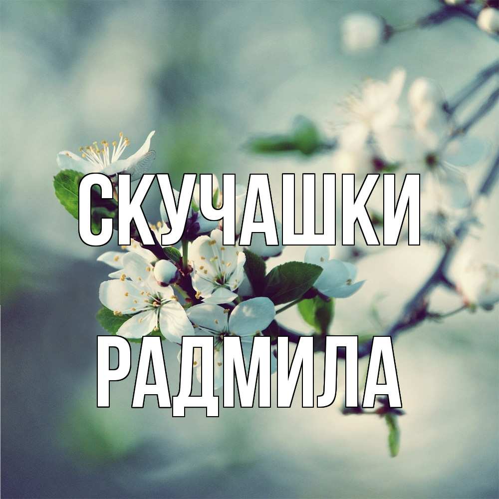 Открытка на каждый день с именем, Радмила Скучашки весна Прикольная открытка с пожеланием онлайн скачать бесплатно 
