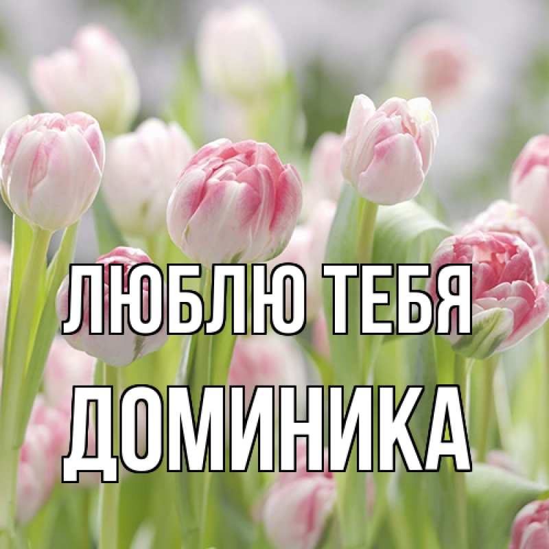 Картинка Люблю тебя, Доминика
