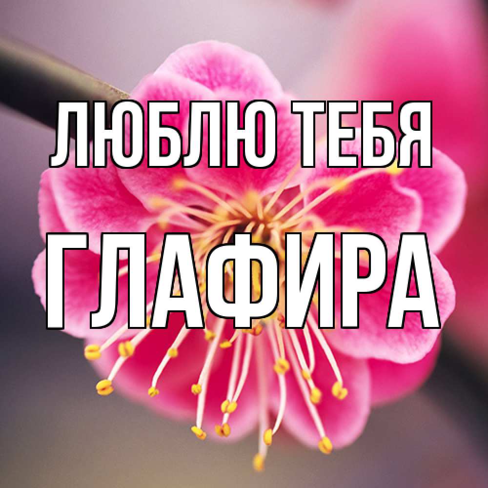 Открытка на каждый день с именем, Глафира Люблю тебя цветы Прикольная открытка с пожеланием онлайн скачать бесплатно 