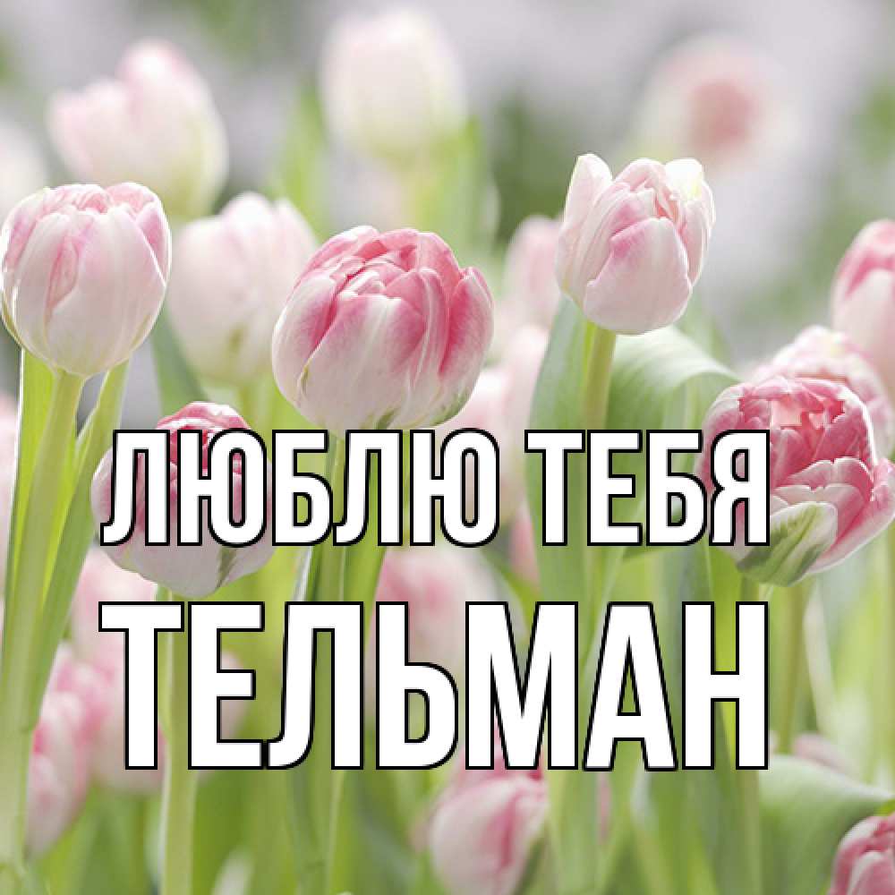 Открытка на каждый день с именем, Тельман Люблю тебя цветы Прикольная открытка с пожеланием онлайн скачать бесплатно 