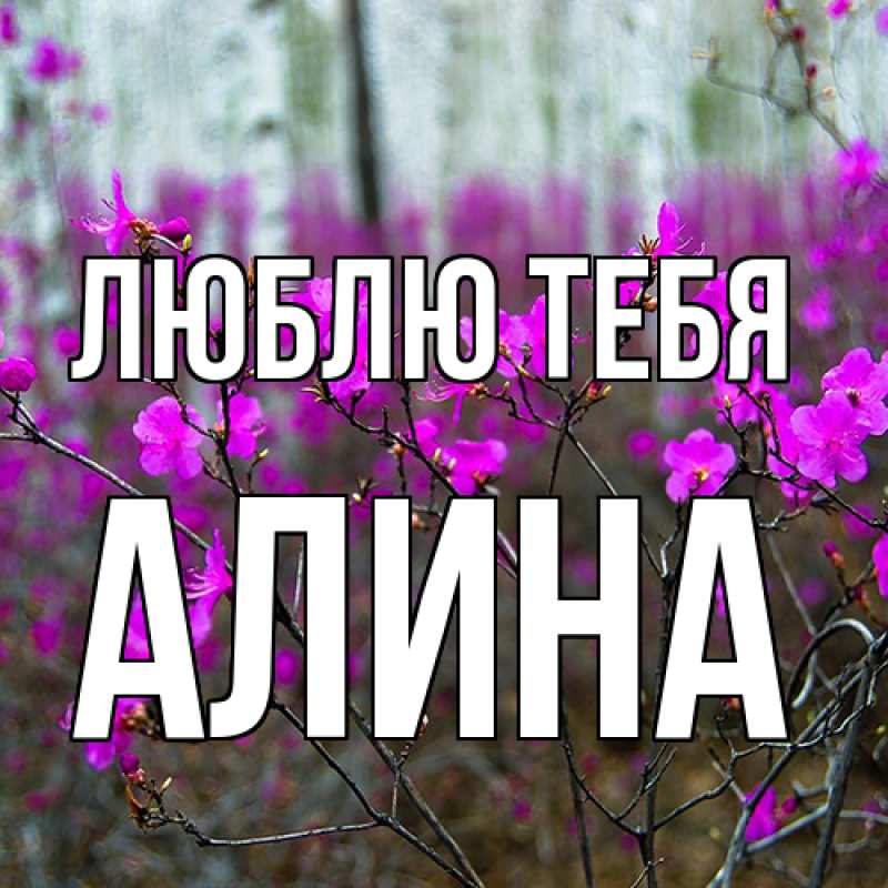 Картинка Люблю тебя, Алина