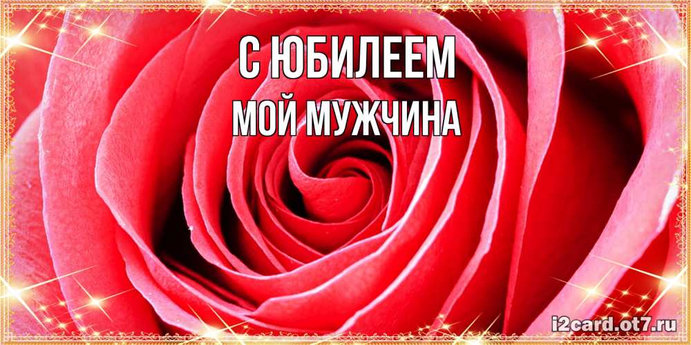 Открытка на каждый день с именем, Мой-мужчина C юбилеем розовая роза очень крупный бутон Прикольная открытка с пожеланием онлайн скачать бесплатно 