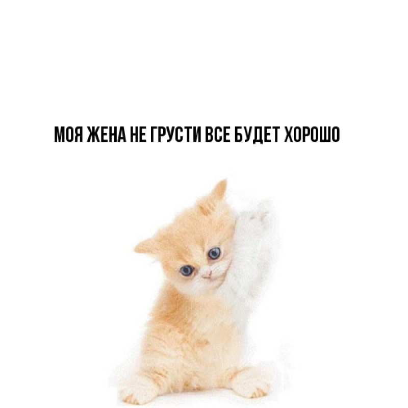 Картинка Не грусти, все будет хорошо, Моя жена