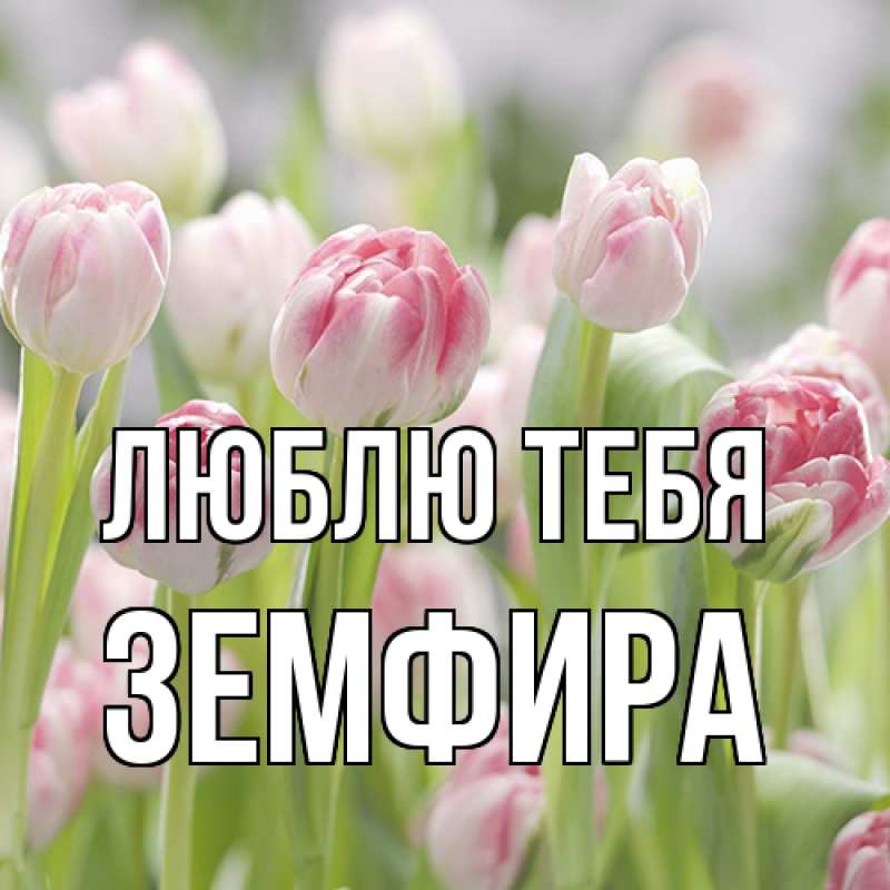 Картинка Люблю тебя, Земфира