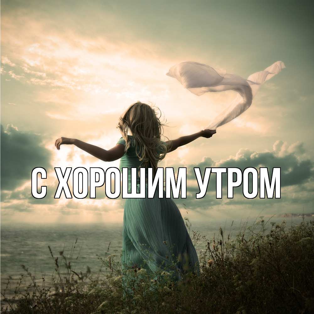 Открытка на каждый день с именем, Офелия Скучашки белый флаг Прикольная открытка с пожеланием онлайн скачать бесплатно 