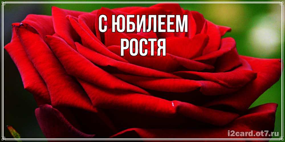 Открытка на каждый день с именем, Ростя C юбилеем розочка очень красивая Прикольная открытка с пожеланием онлайн скачать бесплатно 