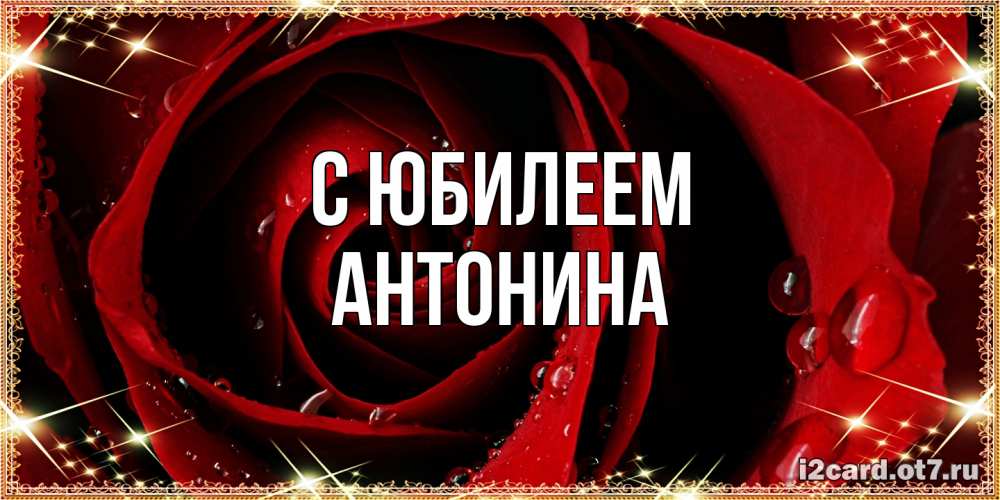 Открытка на каждый день с именем, Антонина C юбилеем цветок в росе на день рождения Прикольная открытка с пожеланием онлайн скачать бесплатно 